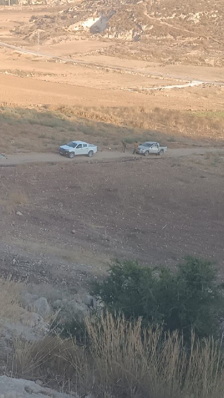מתנחלים משחררים את בעלי החיים שלהם ומסתערים על אדמות חקלאיות ממזרח לעיירה אידנא, ממערב לחברון.
