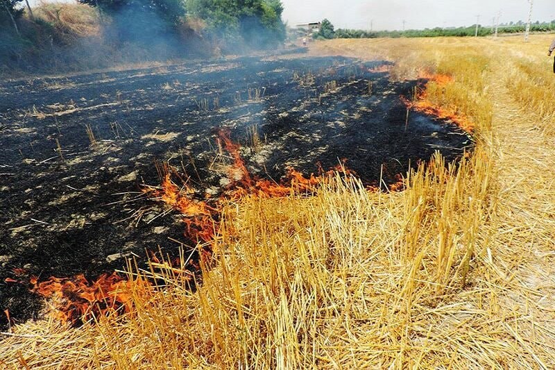 מבצעי שריפת קש וזיפים נעצרו במאזנדרן