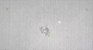 EXCLUSIVE: A Sudanese army's AKINCI drone has scored another air-to-air kill, downing a Chinese-made CH-95 drone operated by the United Arab Emirates-backed RSF terrorist group.