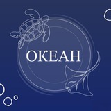OКЕАН 🌊💙