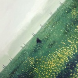 Ботанический садик🌿
