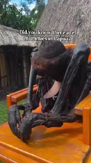 Ever seen a mummy from Papua, Indonesia?These aren’t Egyptian mummies wrapped in linen.In the Baliem Valley around Wamena (in Highland Papua, on the Indonesian side of New Guinea ) the Dani (Hubula) people used to preserve respected leaders by smoking the body over a low fire inside a honai for weeks, then rubbing it with pig fat.The result is a blackened, dried figure still sitting in a crouched position.These mummies aren’t souvenirs. For the community they are living ancestors: guardians of the village, sources of blessing, and a link to who they are. Only war leaders or chiefs received this honor.The practice has mostly stopped, but a few centuries-old mummies are still cared for by their descendants.If you visit, be respectful. Don’t touch. Photos are usually allowed with permission and a small contribution toward their upkeep.Science and facts💡