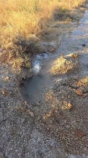 רשת חדשות ירושלים