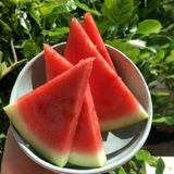 Рен!! 🍉