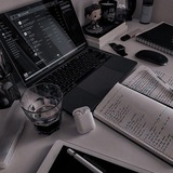 GoStudy💥