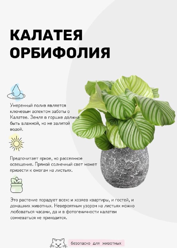  | Декор Интерьер Дизайн - изображение 1 - 