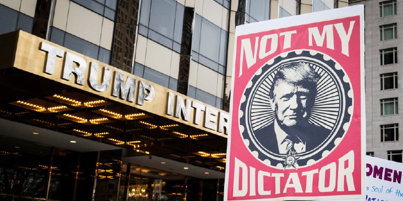 ‘Get out sooner rather than later’: Yale professors flee U.S. over fascism concerns