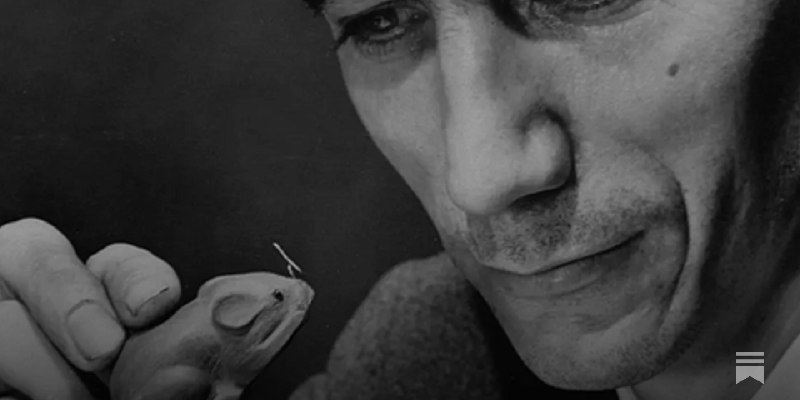 Why Bell Labs Worked.