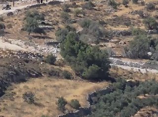 רשת חדשות ירושלים