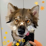 Бᴀᴩᴄᴇᴛᴋᴀ дᴇдᴀ АᴋᴇᴧЛычᴀ