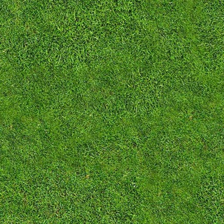 Urdu ki Dunya Telegram Group Link