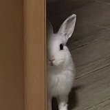 Йцукен✧*