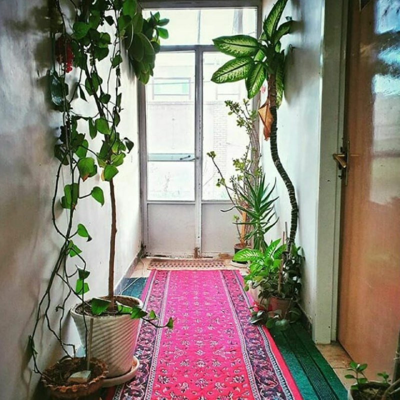 نغمه های دلتنگی: * * * صدای آشنا * * *چشم های بی قرار و منتظر از پچ پچ لولای درب خانه شنید : رنج تلخ تنهایی ! شیرین تر ازیک هیا هوی تو خا
