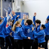 wm.handball