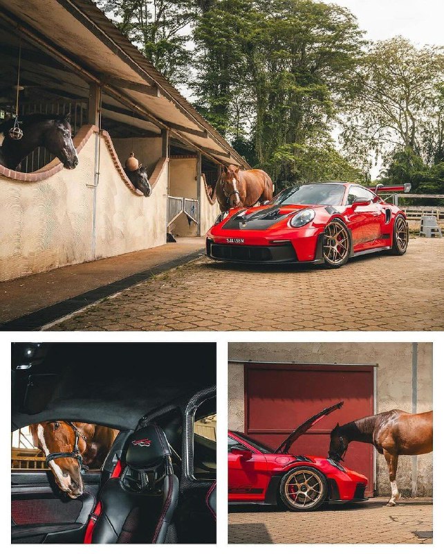 GT3 RS + 1 л.с. 6