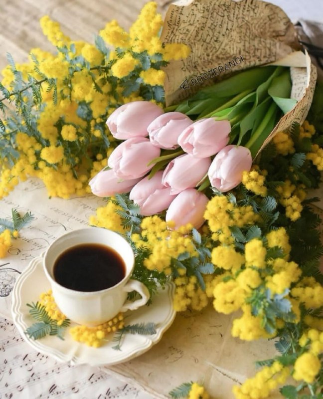 خانقاه سرخ: 🌷 سلام 🌼صبح دوشنبه تون بخیر🌷ان شاءالله🌿رزق و روزی تون زیاد🌼تنتون سالم🌿افکارتون سبز و مثبت🌷شادی هاتون فراوون🌼و زندگیتون پ