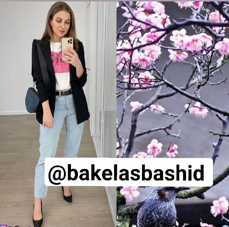 🔱 اصول باکلاس بودن 🔱: #استایل_گرافیاز ترکیب رنگ‌های طبیعت برای استایلت ایده بگیرقسمت سوم@bakelasbashid 💟