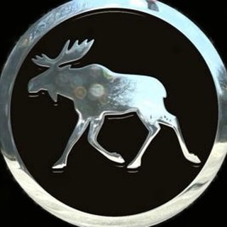 Telegram profile photo for Losev_notes