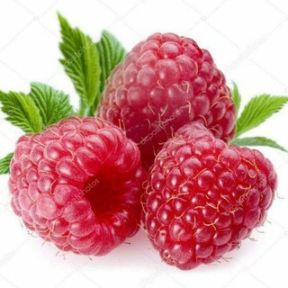 QOQON MALINA BOZOR🍒🫐