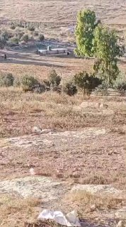 רשת חדשות ירושלים