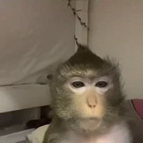 CyberhUi
