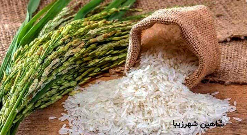 شاهین شهرزیبا👉: ☣ قیمت جدید #برنج_ایرانی، قند و شکر / برنج آمریکایی از مرز عراق وارد شده است؟☣ رئیس اتحادیه بنکداران مواد غذایی:واردات #