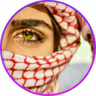 روابط مجموعات يمنيه مجموعه شباب بنات صنعاء عدن قناه قنوات اليمن صنعانيه مزز زوامل حالات اخبار صور Telegram Group Link