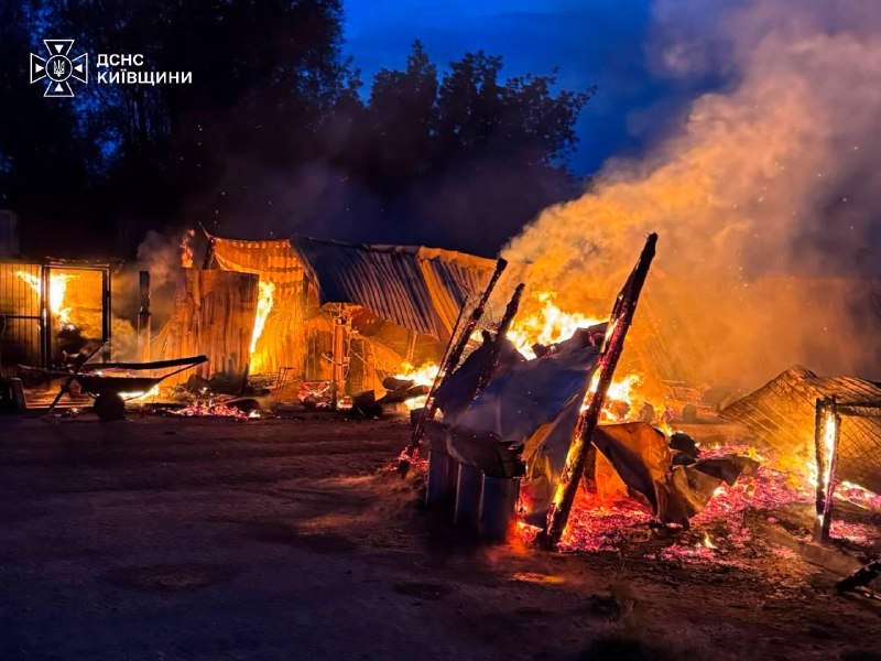 На Київщині під час пожежі у притулку «Сіріус» загинули 8 собак, знищено 20 вольєрів та інфраструктуру