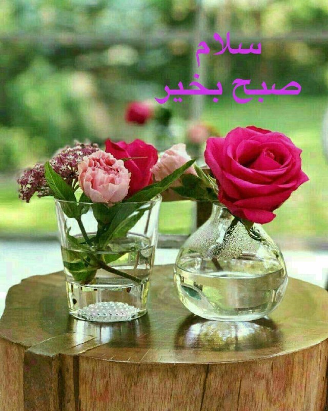 رسانه خبری "راه تالش": صبح بخیر به دل‌هایی که هنوز به قشنگیِ فردا ایمان دارند… ☀️🤍الهی امروز سهم دلت، آرامش و خبرهای خوب باشد🍃🌻🍃♨ #پوشش_رسانه_ا