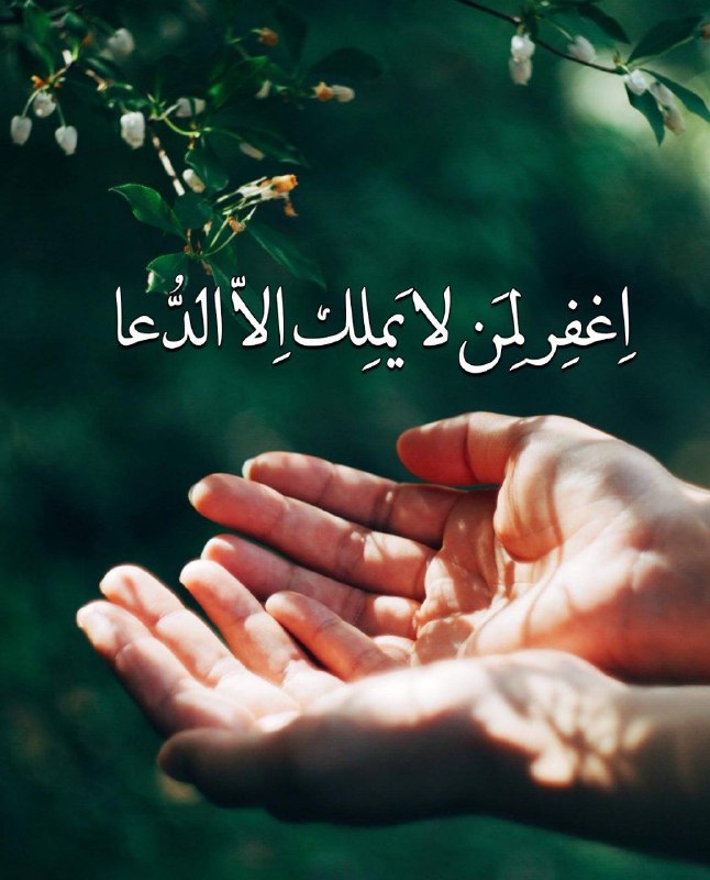 🌷کانال بزرگ شهدا🌷: 💌بسمـ رب الشـهدا.....🕊🌸﷽سبک بالان عاشق﷽نیایش شبانه با حضرت عشق ❤️❤️خدایا🙏تمام سرمایه و داشته ام، دعاست🙌در این شب جمعه ✨🙏
