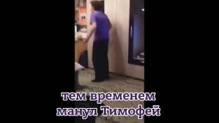 Лаос передаст в дар России двух самок слонов по кличке Фовин («Удача») и Намтан («Сахар»), сообщило посольство РФ в стране