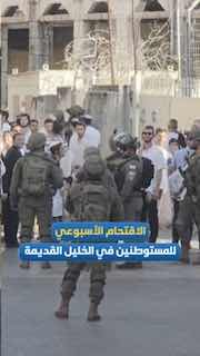 المستوطنون يقتحمون الخليل القديمة أسبوعياً