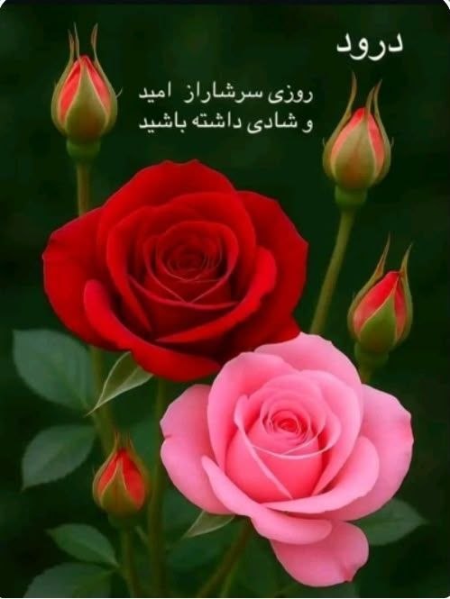 ایران زیبای من♥️🌹My Beautiful Iran: رسانه پست