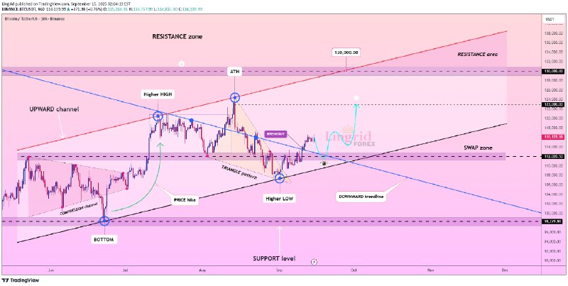 Crypto Signals | ChartMonkey