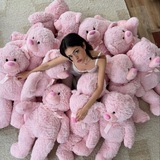 girly dreams piar