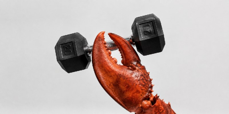 ITiran: 🔻اقدام غیرمنتظره ایجنت هوش مصنوعیOpenClaw؛ هک سیستم رزرو باشگاه برای ثبت نامیک کاربر استرالیایی از ایجنت هوش مصنوعی Open
