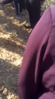 בחסות חיילי הכיבוש, מיליציות מתנחלים תוקפות נשים באזור חווארה במוספר יטא, דרומית לחברון.
