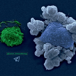 Cancer Immunology and Molecular Biology Telegram Group Link
