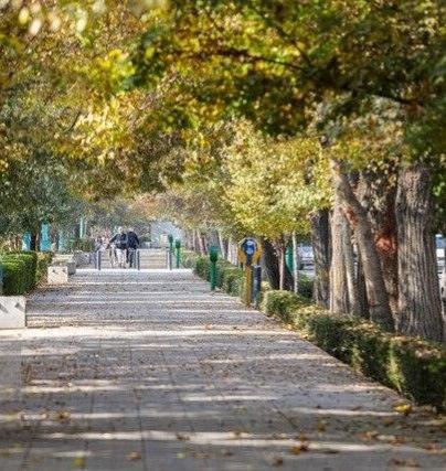 همای خبر گیلان🇮🇷: شروع پاییز با گرما🔹بر اساس پیش‌بینی سازمان هواشناسی بارش‌ها تا نیمه بهمن ماه در کشور در شرایط نرمال و فراتر از آن قرار د