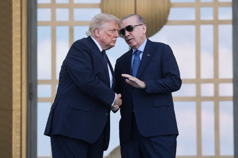טל שגיא