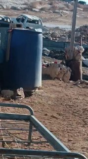 הם השתלטו על 10 בארות באזור במהלך החודשים האחרונים. מתנחלים תפסו באר מים באזור אל-פרש, הממוקמת בין חאלת אל…
