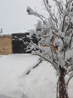 Toya-Bug'iz (Tosh-dengiz) qishlog'ida yaxshi holatdagi uy sotaman