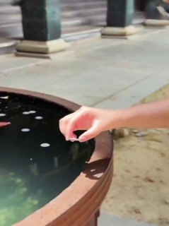 Why people in Japan keep trying to float coinsDid you know? 🎓