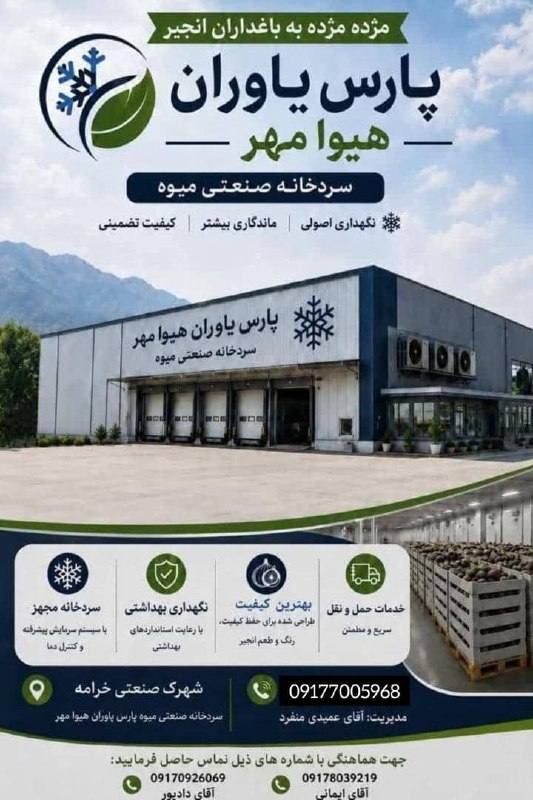 کانال خبری جابری️️️️️️: 🚨 انجیرتو مفت نده! 🍈کشاورز عزیز،این محصول حاصل زحمت یک‌سالته؛ فقط به خاطر پایین بودن قیمت بازار، عجولانه نفروشش!❄️ سردخا