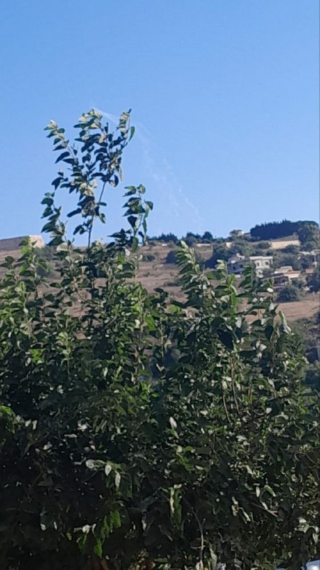 🚨 הפצצת ארטילריה זרחן בין הישובים בראשית ובית יהון