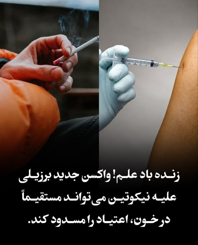 کانال اخبار امیران: 🔴 واکسن آزمایشی ترک سیگار در برزیل🔹پادتن‌ها نیکوتین را در خون به دام می‌اندازند!🅰️ @AmiranNews