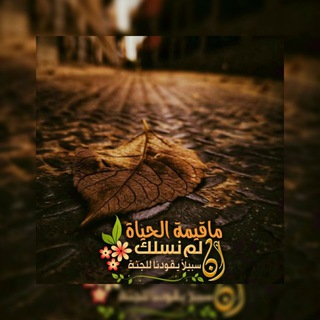 ⊰⊹✿ سۜفُيۧنۨة ۗ الۛسۜلۛفُ ✿⊹⊱ Telegram Group Link