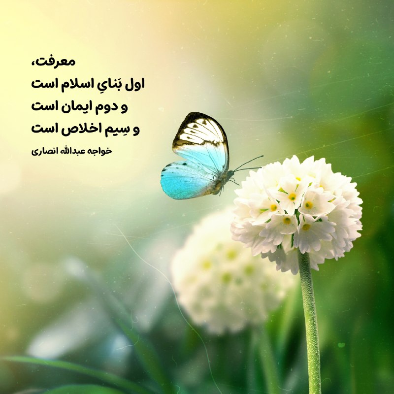 متن‌نگار: معرفت، اول‌ بَنایِ اسلام استو دوم ایمان استو سِیم اخلاص است ..• خواجه عبدالله انصاری┏━━━━━━━━💚🌸━┓ @hoseyniyye_del13┗━━💚🌸