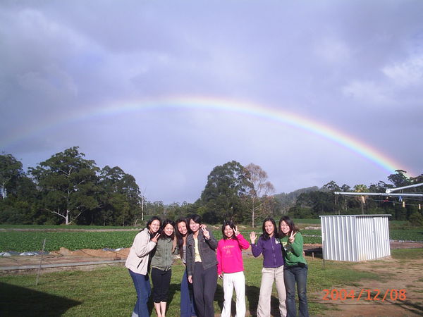 澳洲打工度假打工篇