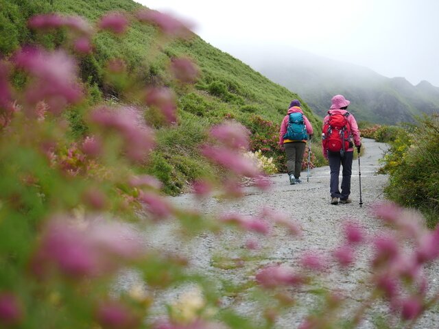 心之所向，終已抵達-合歡山,想你啦！